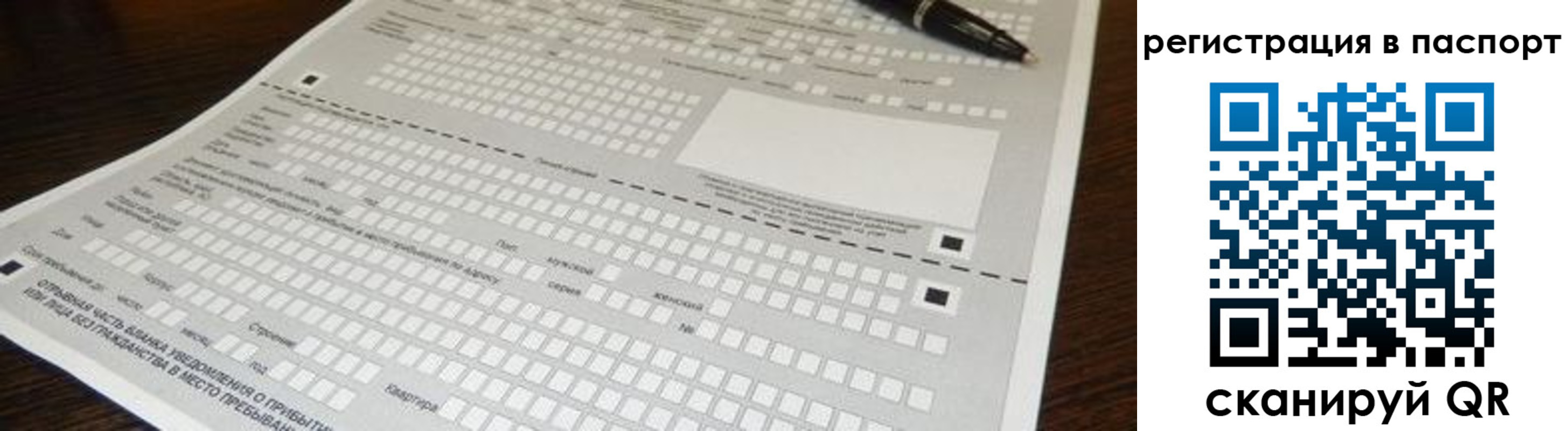где прописаться в Ельне