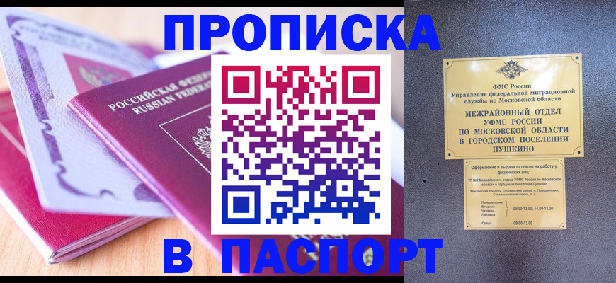 прописка законно в Ельне